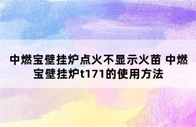 中燃宝壁挂炉点火不显示火苗 中燃宝壁挂炉t171的使用方法